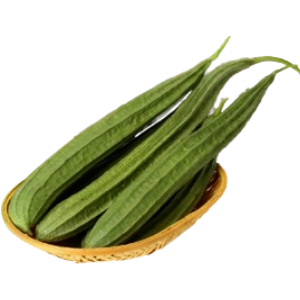 ridge gourd Seeds